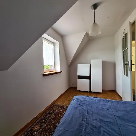 Pod Mazurskim Lasem * Gant