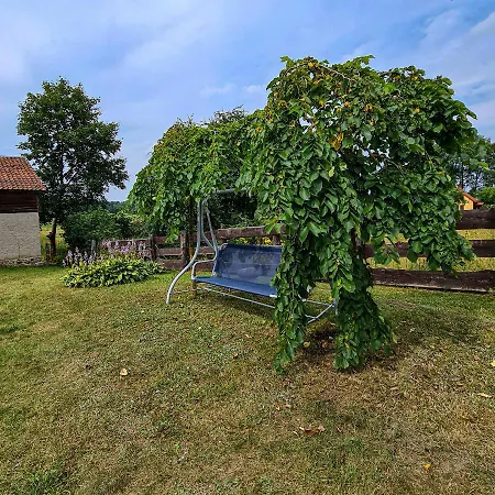 Pod Mazurskim Lasem Gant