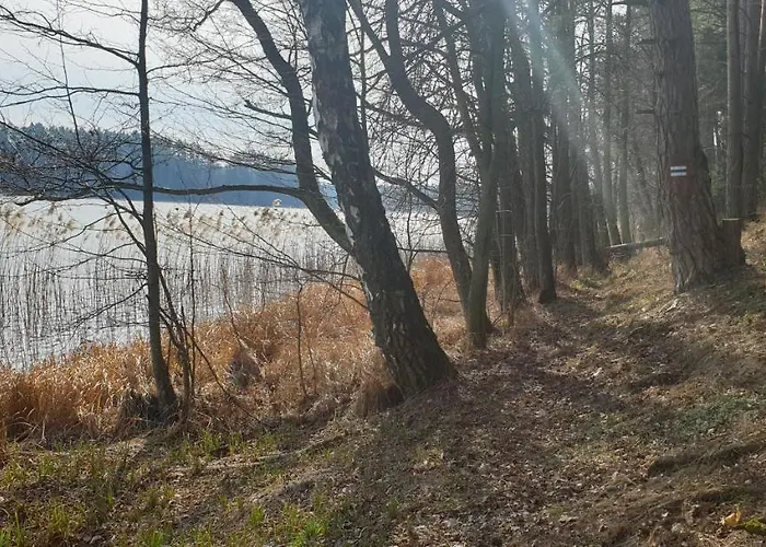 Pod Mazurskim Lasem *